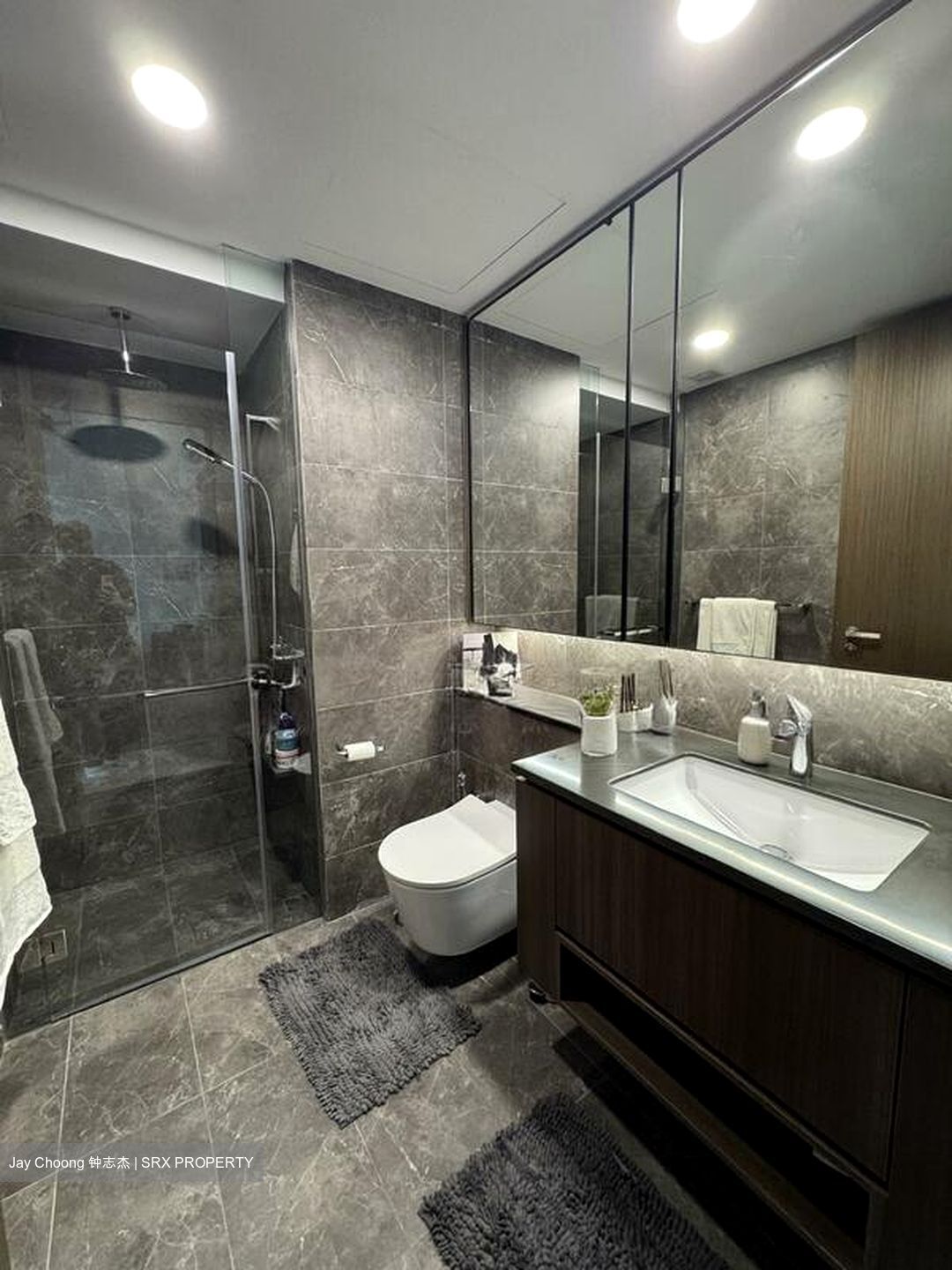 Kopar At Newton (D9), Apartment #511262151